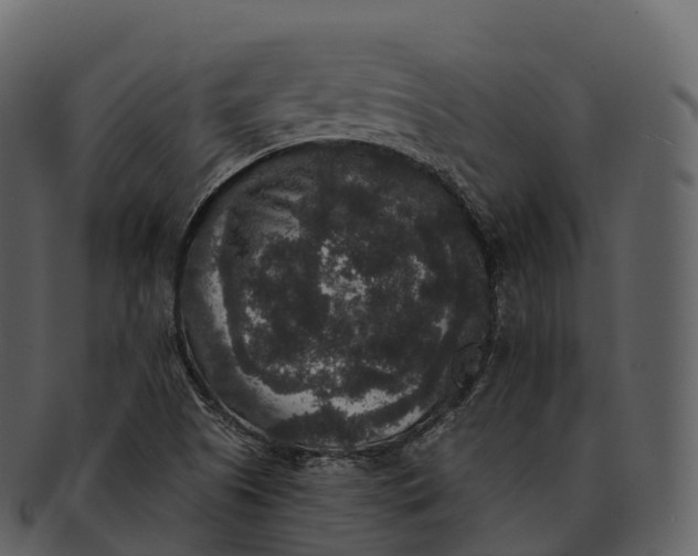 X0000092321505200710051247