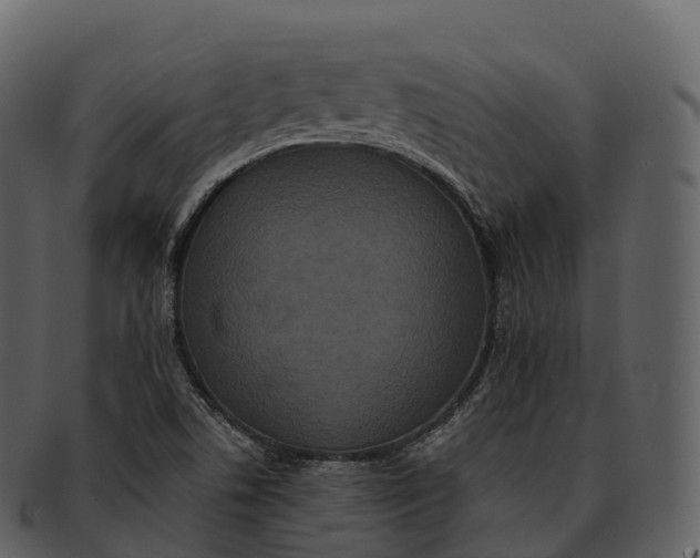 X0000092321506200710051247