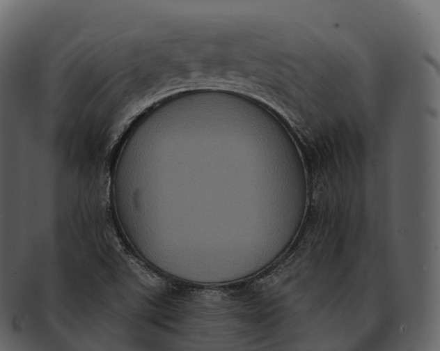 X0000092321507200710051247