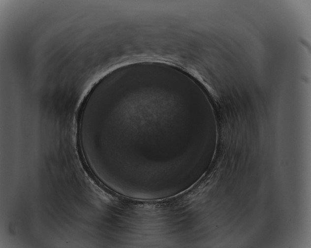 X0000092321508200710051247