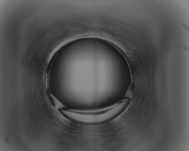 X0000092321510200710051247