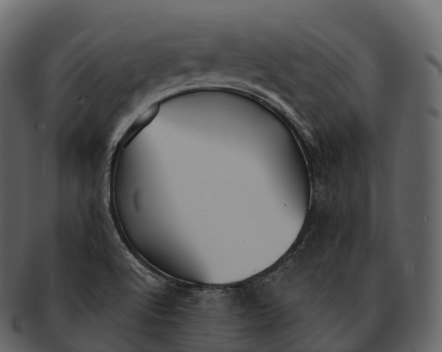 X0000092321512200710051247