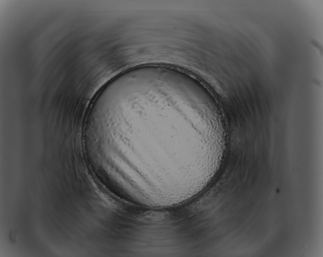X0000092321513200710051247