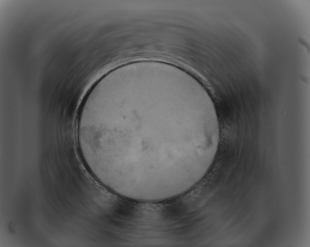 X0000092321514200710051247