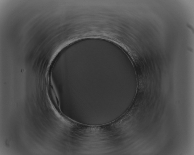 X0000092321515200710051247