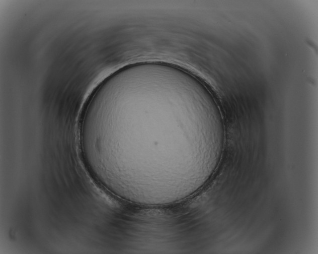 X0000092321517200710051247