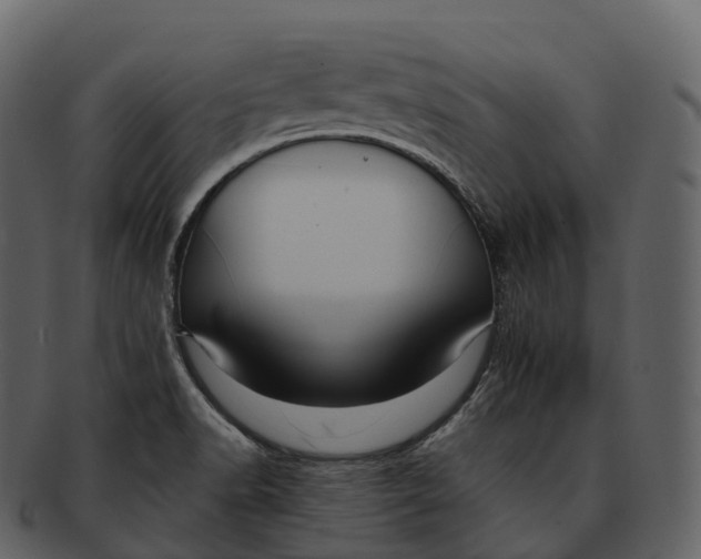 X0000092321518200710051247