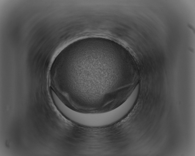 X0000092321520200710051247