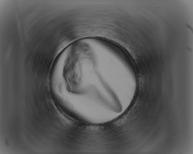 X0000092321521200710051247