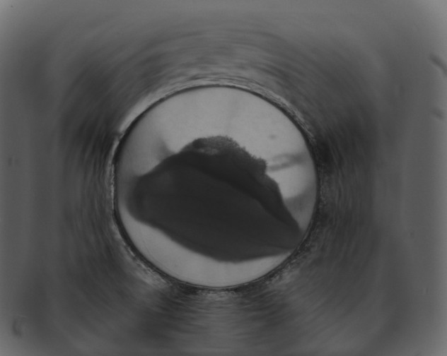 X0000092321522200710051247
