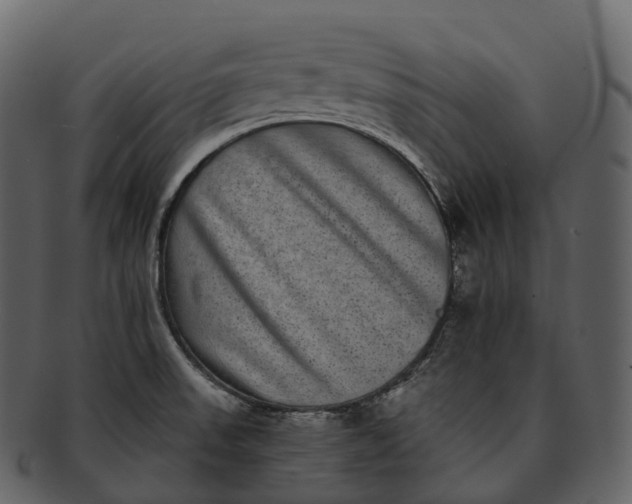 X0000092321523200710051247