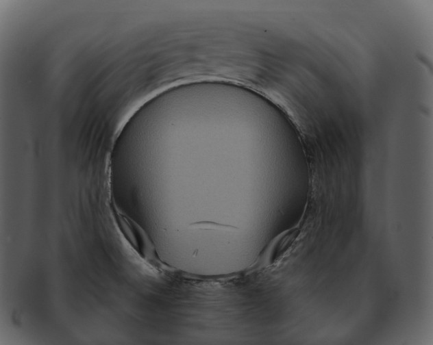 X0000092321524200710051247