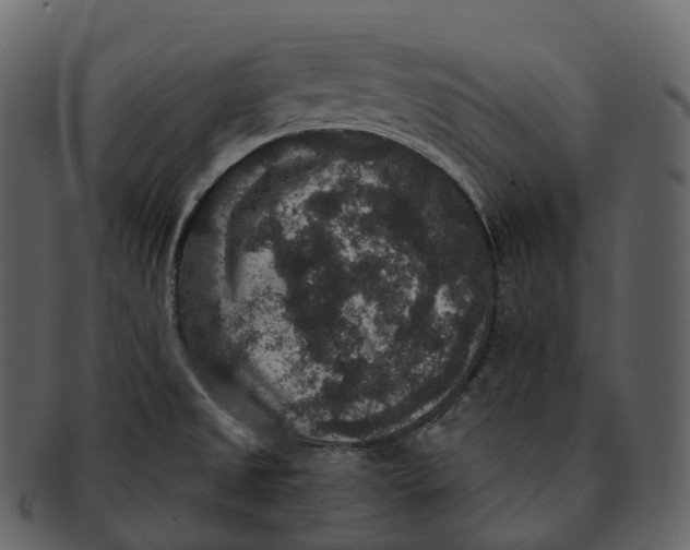 X0000092321525200710051247