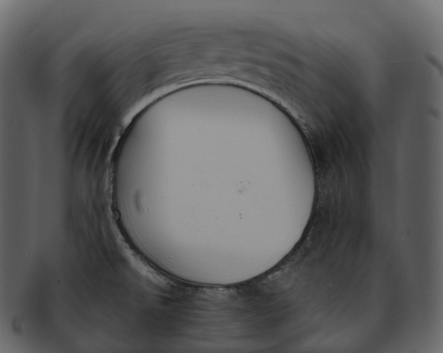 X0000092321526200710051247