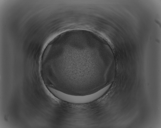 X0000092321528200710051247