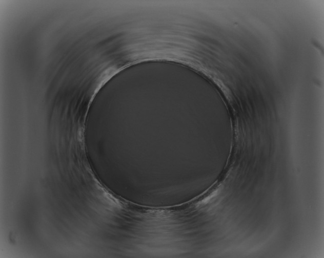 X0000092321529200710051247