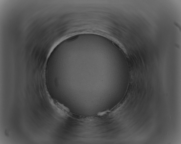 X0000092321530200710051247
