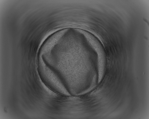 X0000092321531200710051247