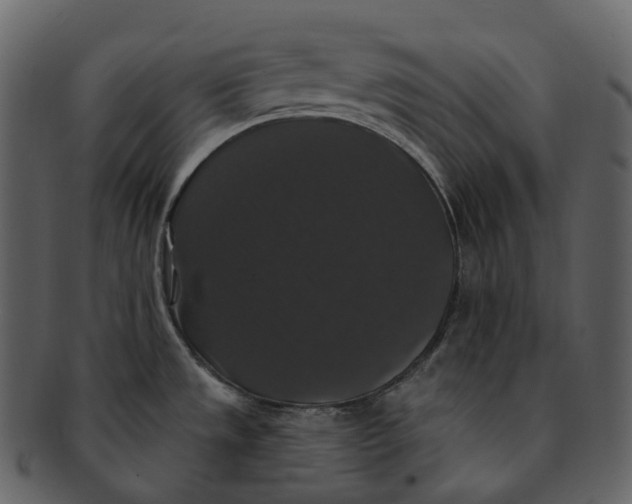 X0000092321533200710051247