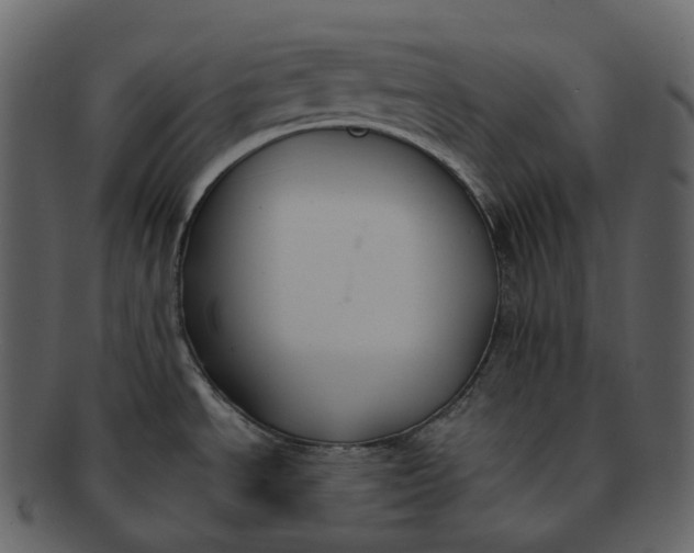 X0000092321534200710051247