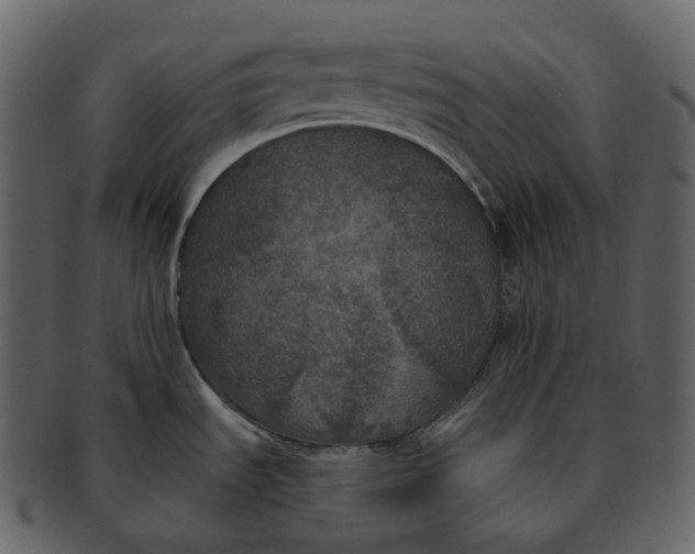 X0000092321535200710051247