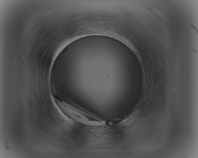X0000092321536200710051247