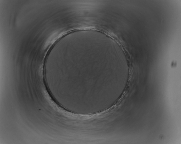 X0000092320002200710121531