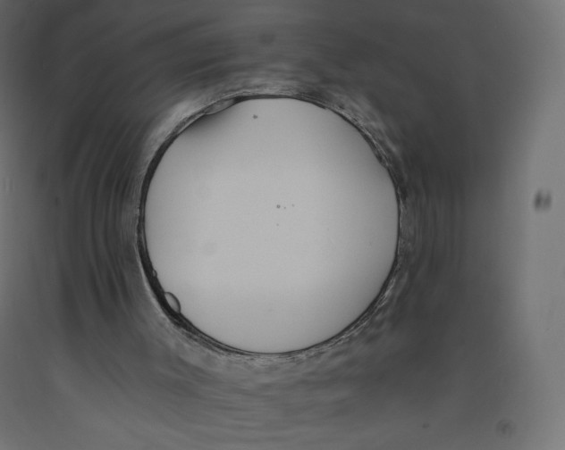 X0000092320003200710121531