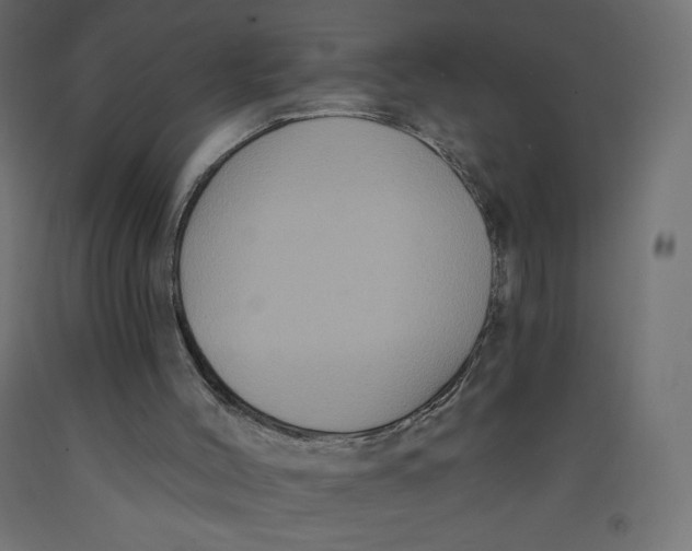 X0000092320004200710121531