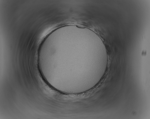 X0000092320005200710121531