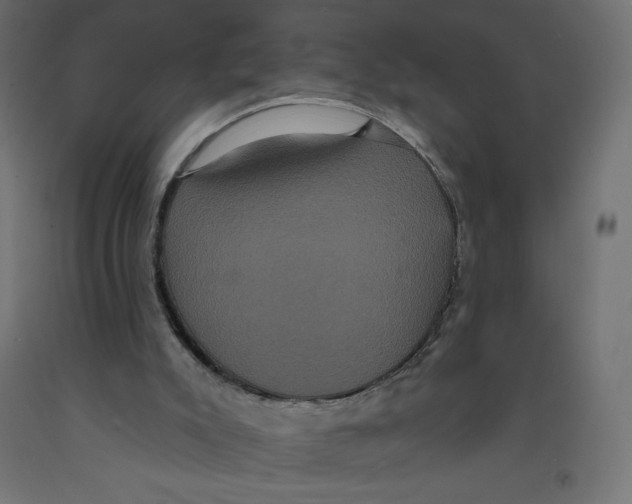 X0000092320007200710121531