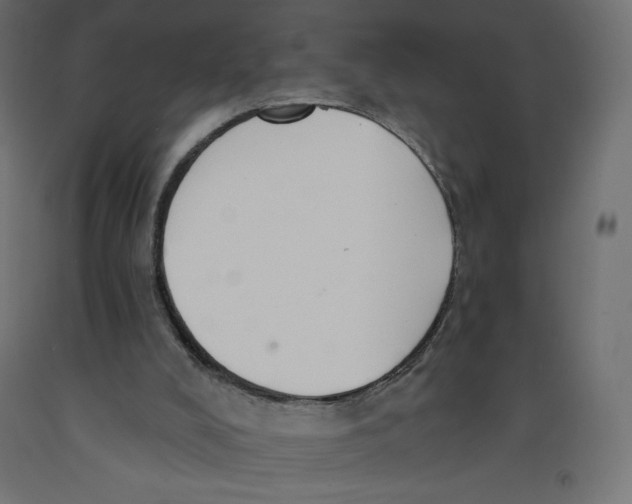 X0000092320008200710121531