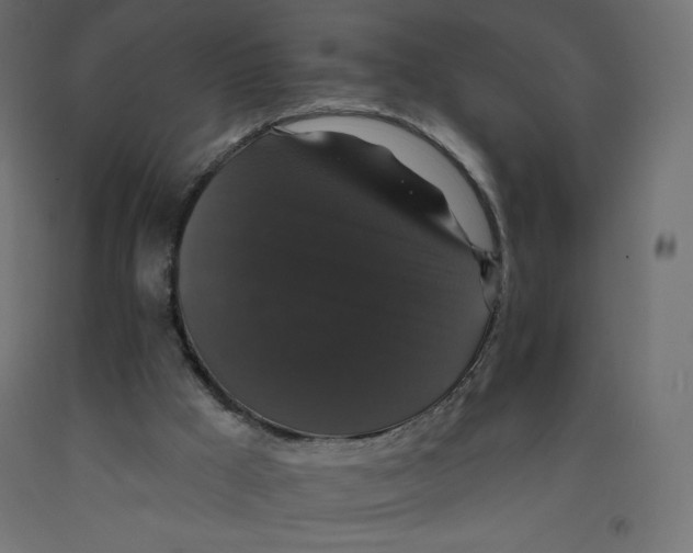 X0000092320009200710121531