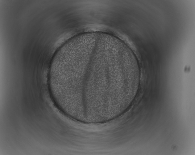 X0000092320010200710121531