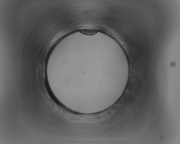 X0000092320011200710121531