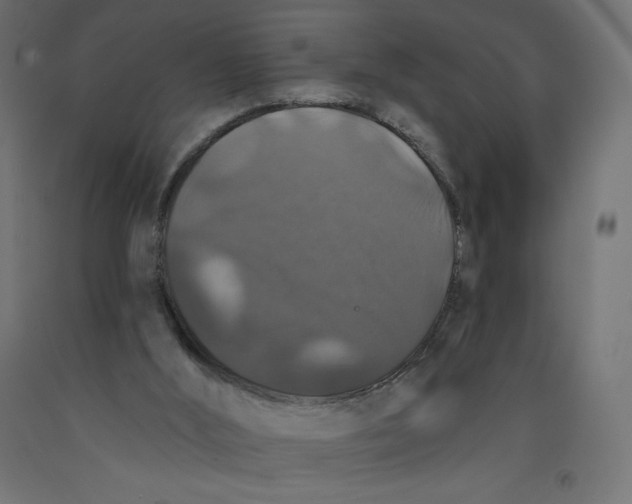 X0000092320012200710121531