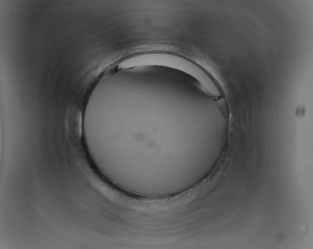 X0000092320013200710121531