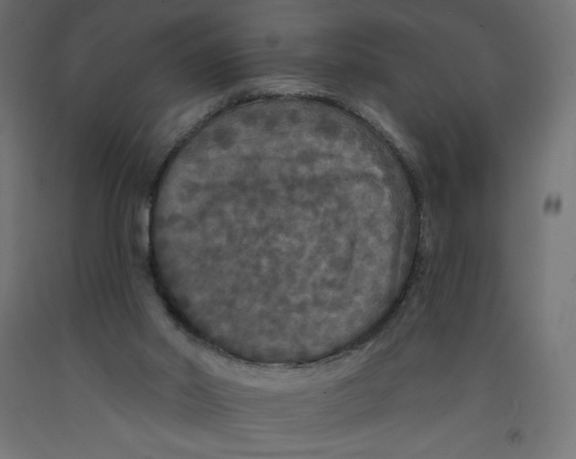 X0000092320014200710121531