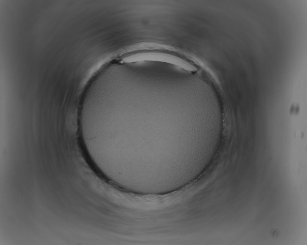 X0000092320015200710121531