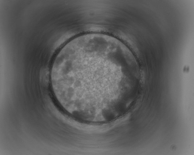 X0000092320016200710121531