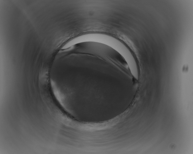 X0000092320017200710121531