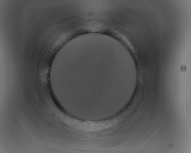 X0000092320018200710121531