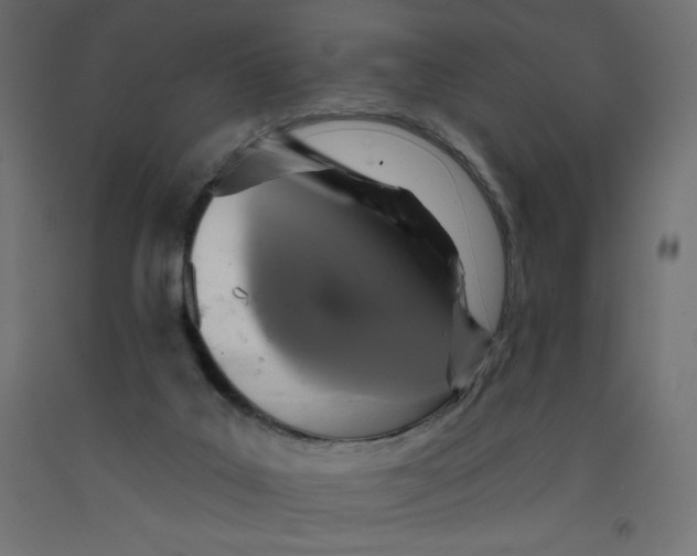 X0000092320019200710121531