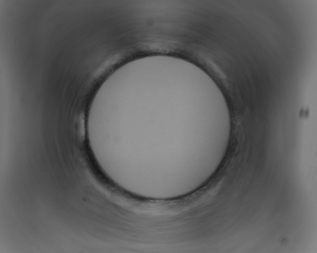 X0000092320020200710121531