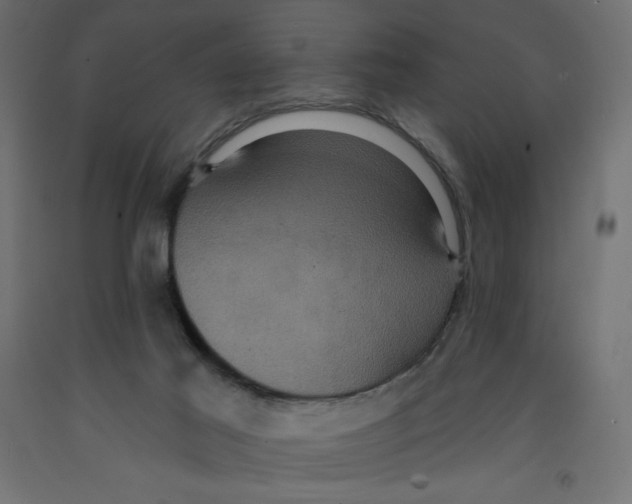 X0000092320021200710121531