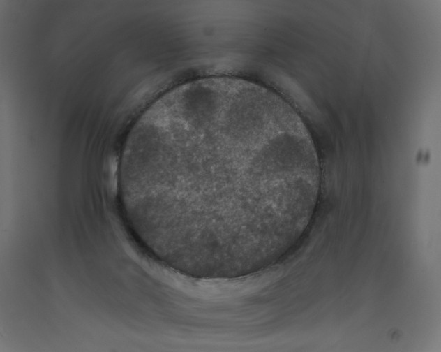 X0000092320022200710121531