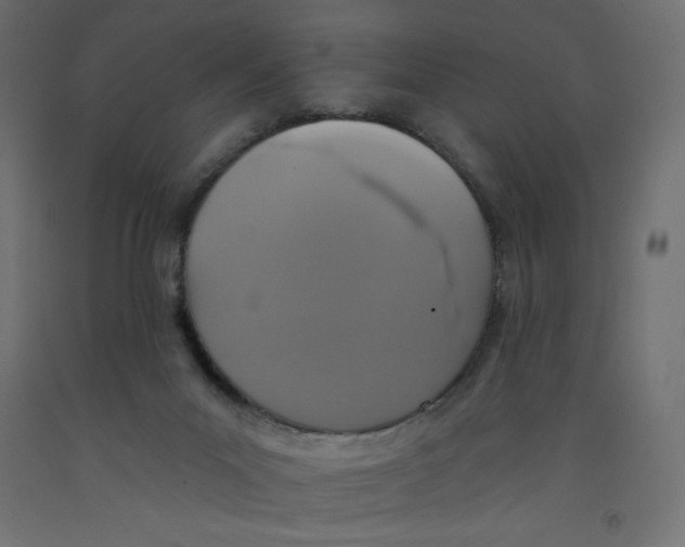 X0000092320023200710121531