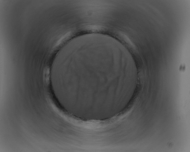 X0000092320024200710121531