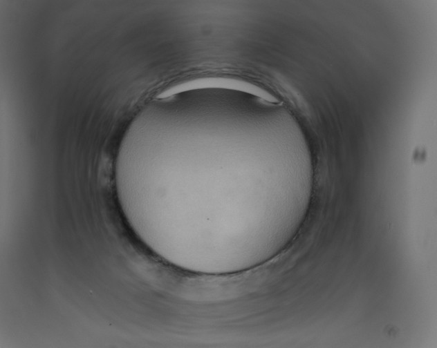 X0000092320025200710121531