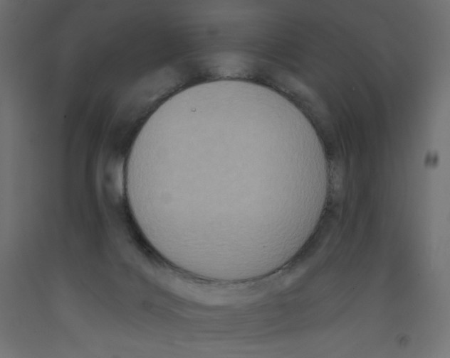 X0000092320028200710121531